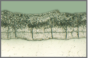 Hot-dip galvanized coating Cross-section
